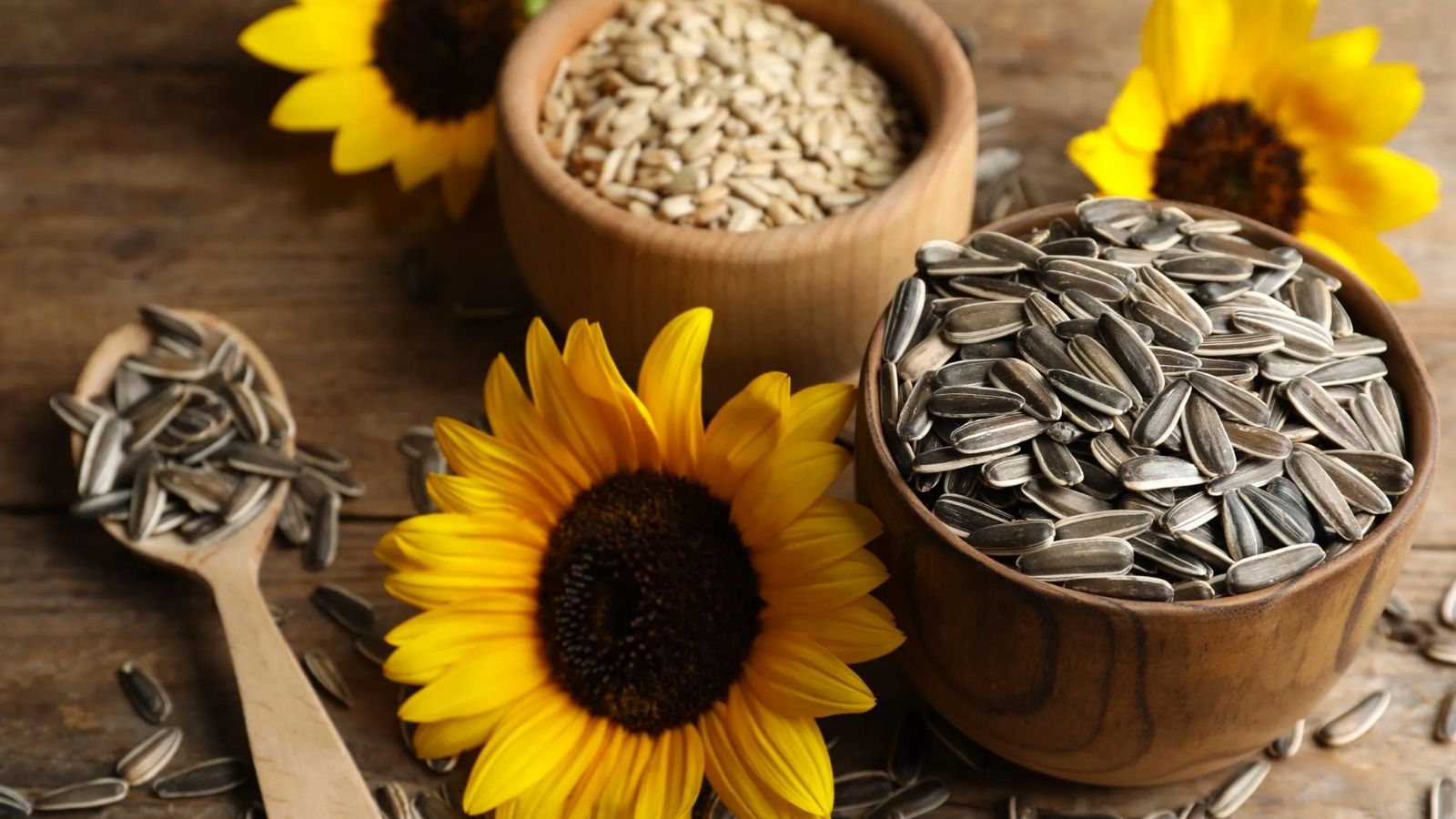 Sunflower Seeds and Nutritional Yeast